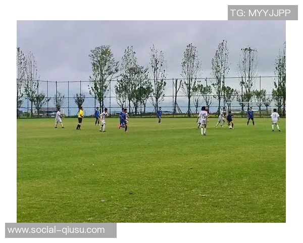 足球场塑胶草坪的优势与维护技巧解析助力提升比赛质量与运动员表现